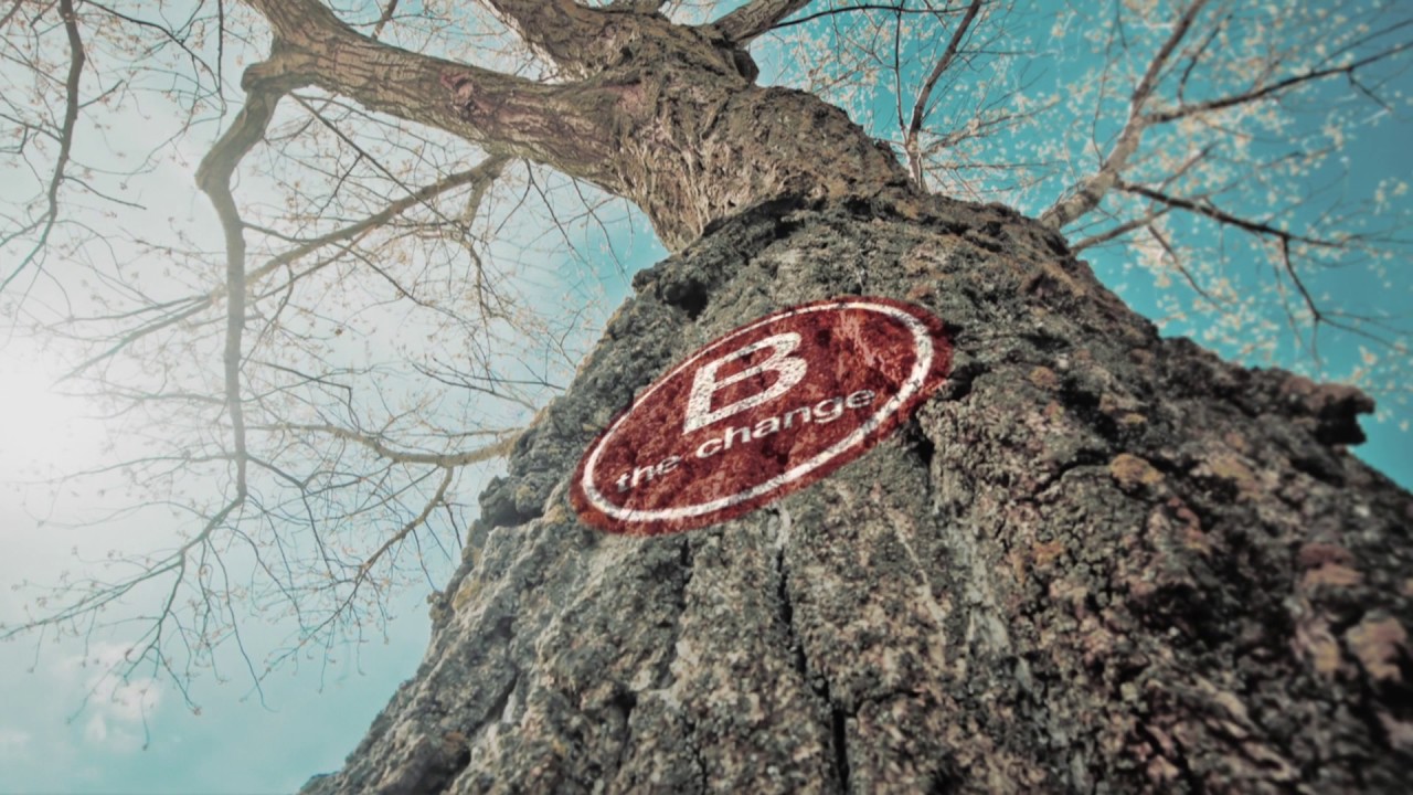 B Corp en España - B GOOD DAY