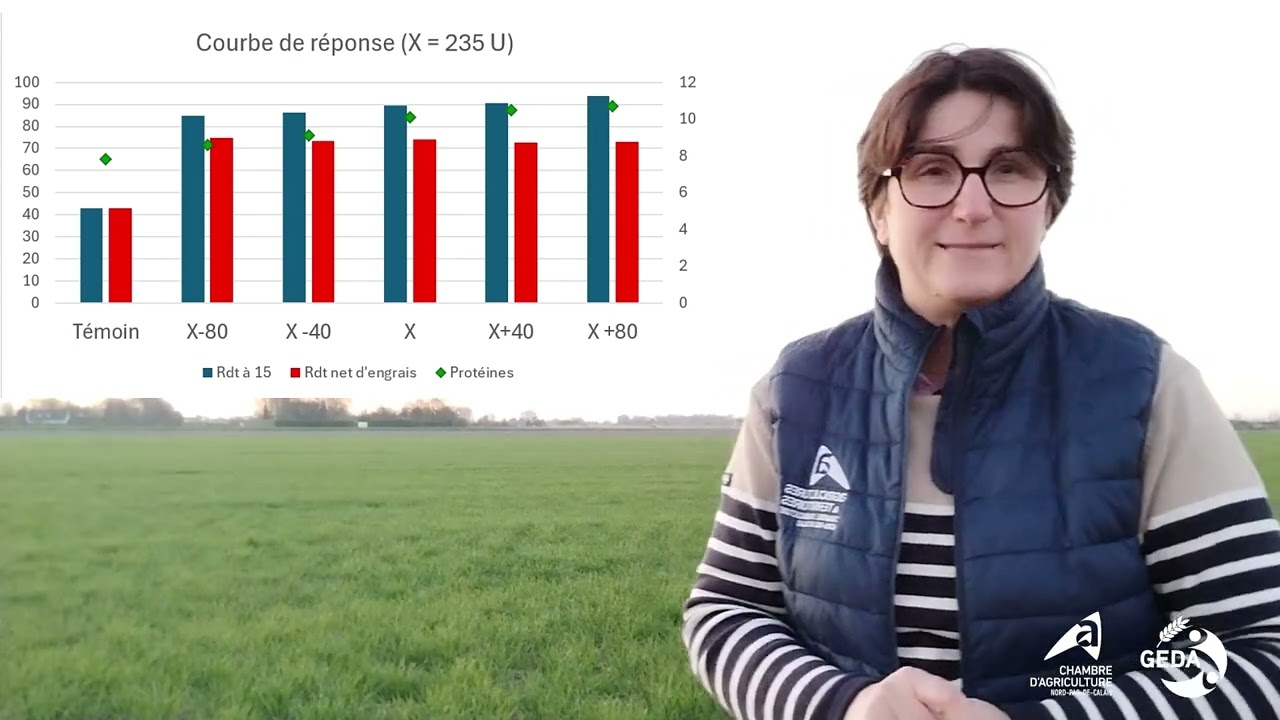 Vous souhaitez optimiser vos apports d'azote sur blé, on vous dit tout dans nos essais.