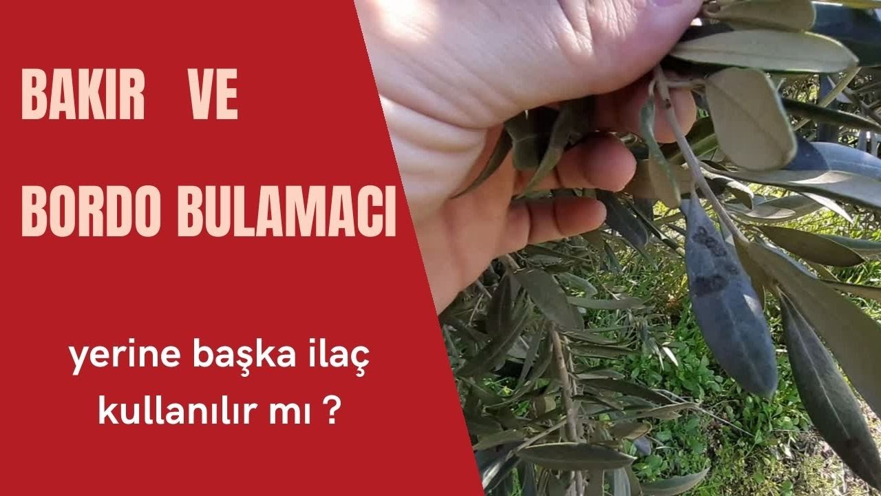 BAKIR ve BORDO BULAMACI yerine başka ilaç kullanılır mı ?