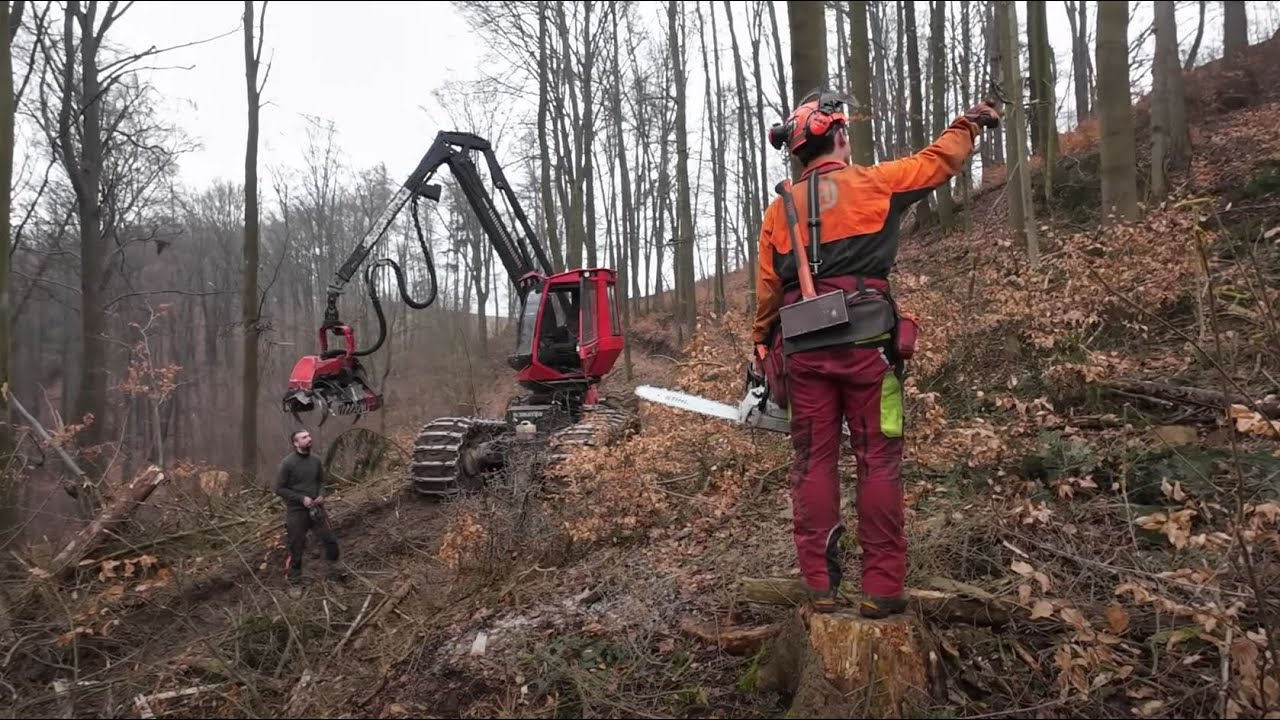 Vykacování a manipulace v údolí - Dřevorubec, Komatsu, Taf a HSM