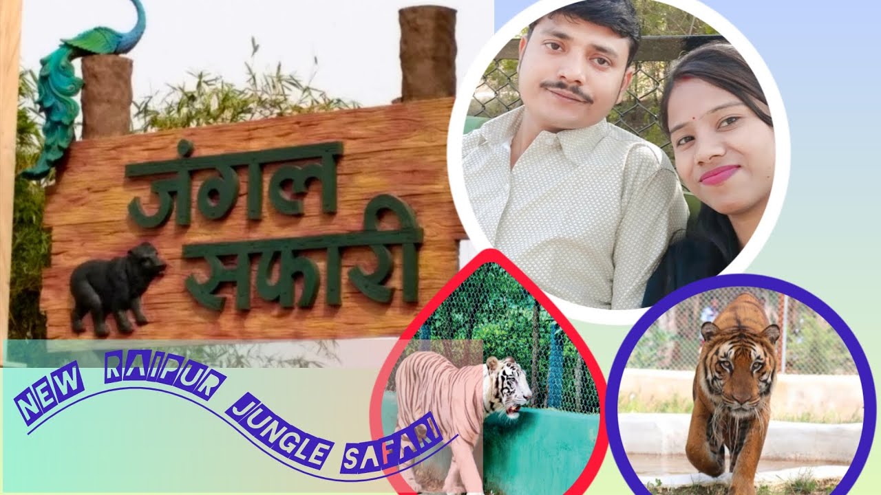 Aaj humlog gye jungle safari ||🐆🦁🐯🦌|| New raipur jungle safari#vlog #shortfeed #dailyvlog 