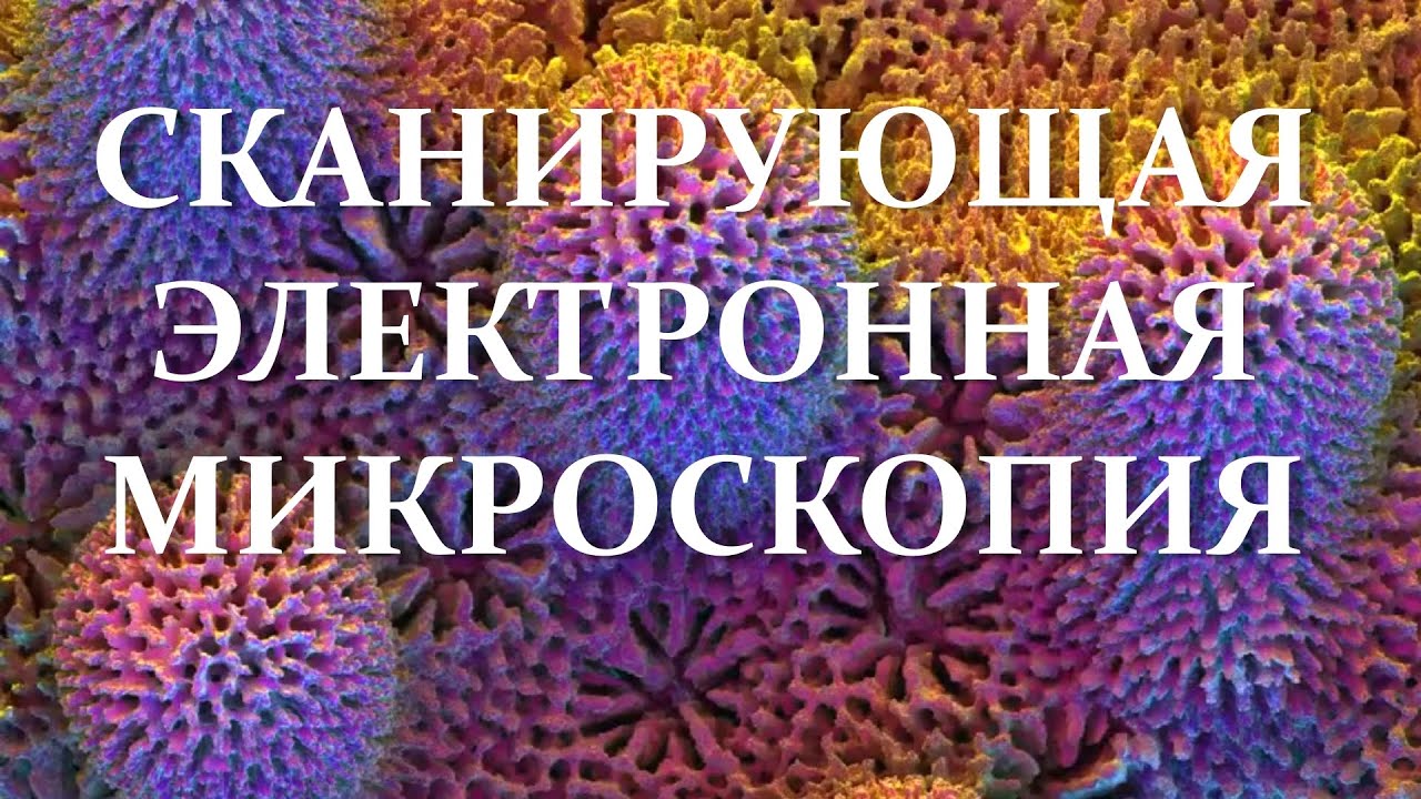 Что такое сканирующий электронный микроскоп (СЭМ) и для чего его используют? #нанотехнологии #СЭМ