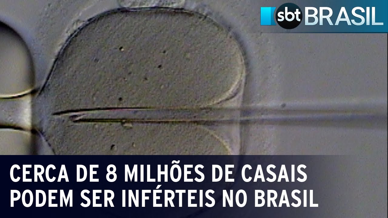 Taxa de fertilidade cai e brasileiros precisam de tratamento para engravidar | SBT Brasil (03/08/23)