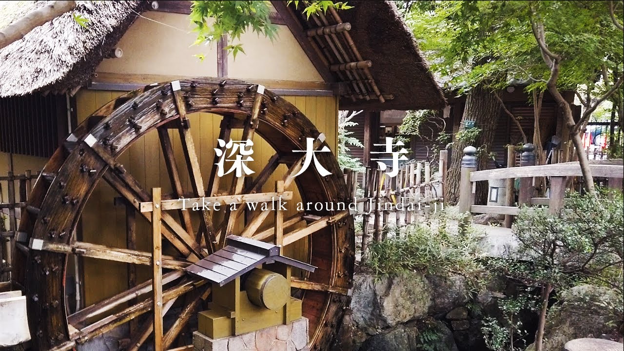 【東京街歩き・散歩Vlog】深大寺 Walk around Jindaiji Temple in Tokyo | DJI Osmo Pocket #014