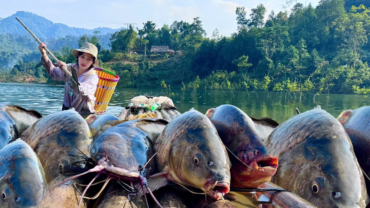 Traditional Fishing Skills - Girl Catches Giant Fish with 50 Bamboo Rods in a Cold Winter Lake