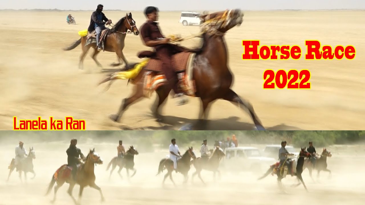 Horse Race 2022 ये लाणेला का रण है यहां घोड़ा दौड़ जितना इतना आसान नहीं / Jaisalmer Desert Festival