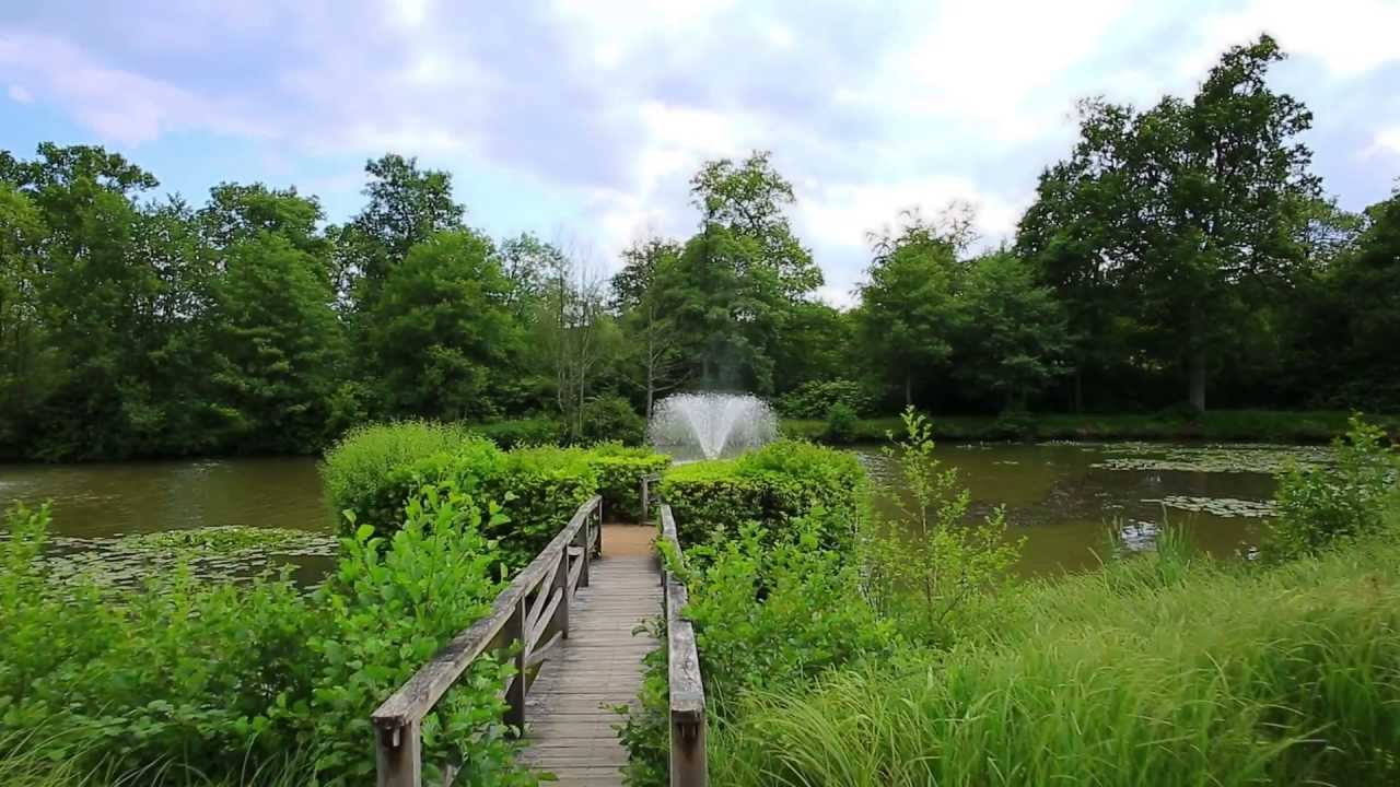 Ashdown Park Hotel Hotel & Country Club, East Sussex