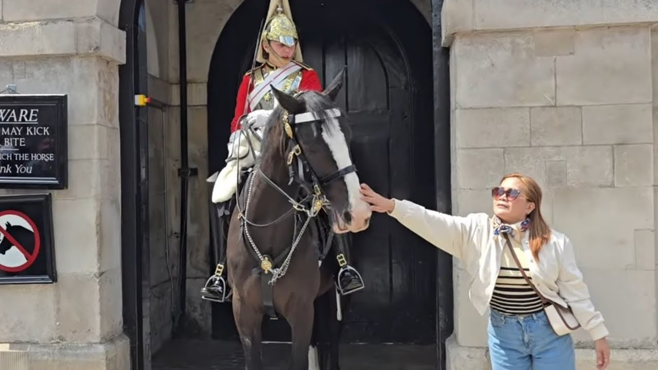 OI DONT TOUCH FILIPINO TOURIST  TOUCHES HORSE #kingsguard