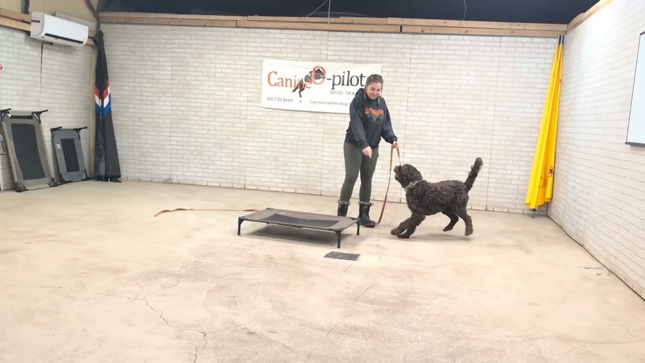 Lesson 2 Henry 