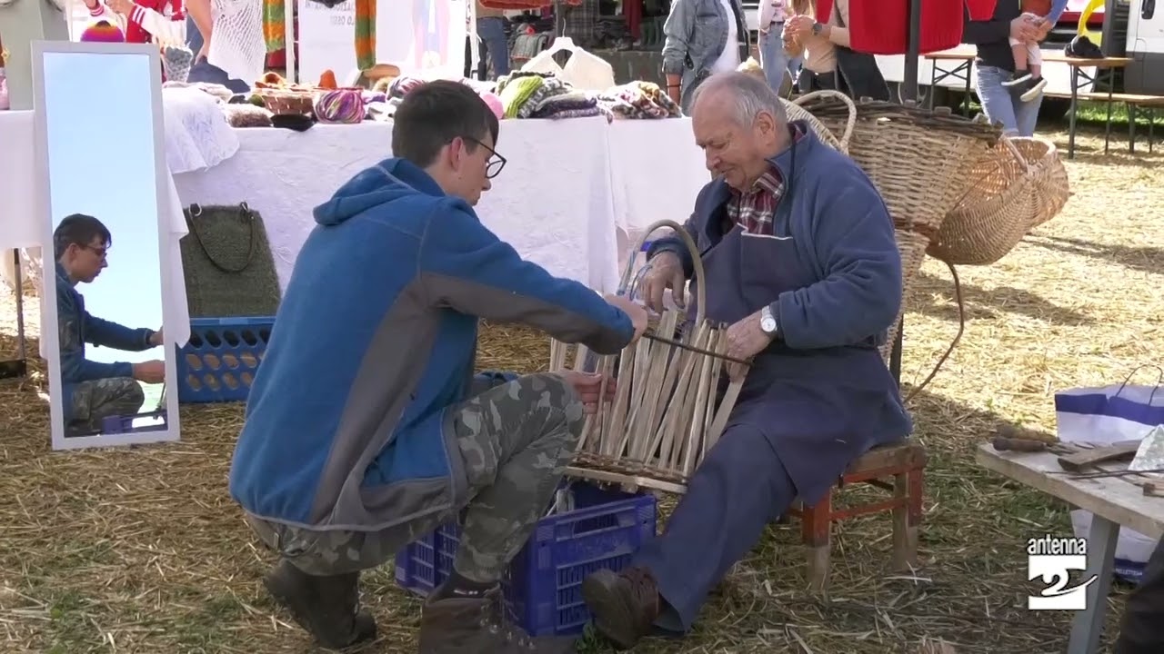Abbazia: festa alla Fiera con asini e cavalli