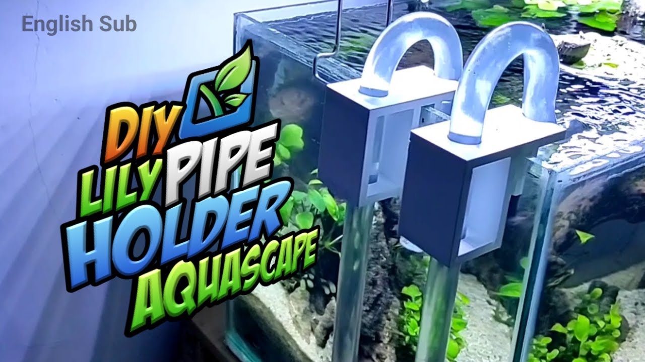 Membuat Lily Pipe Holder Aquascape