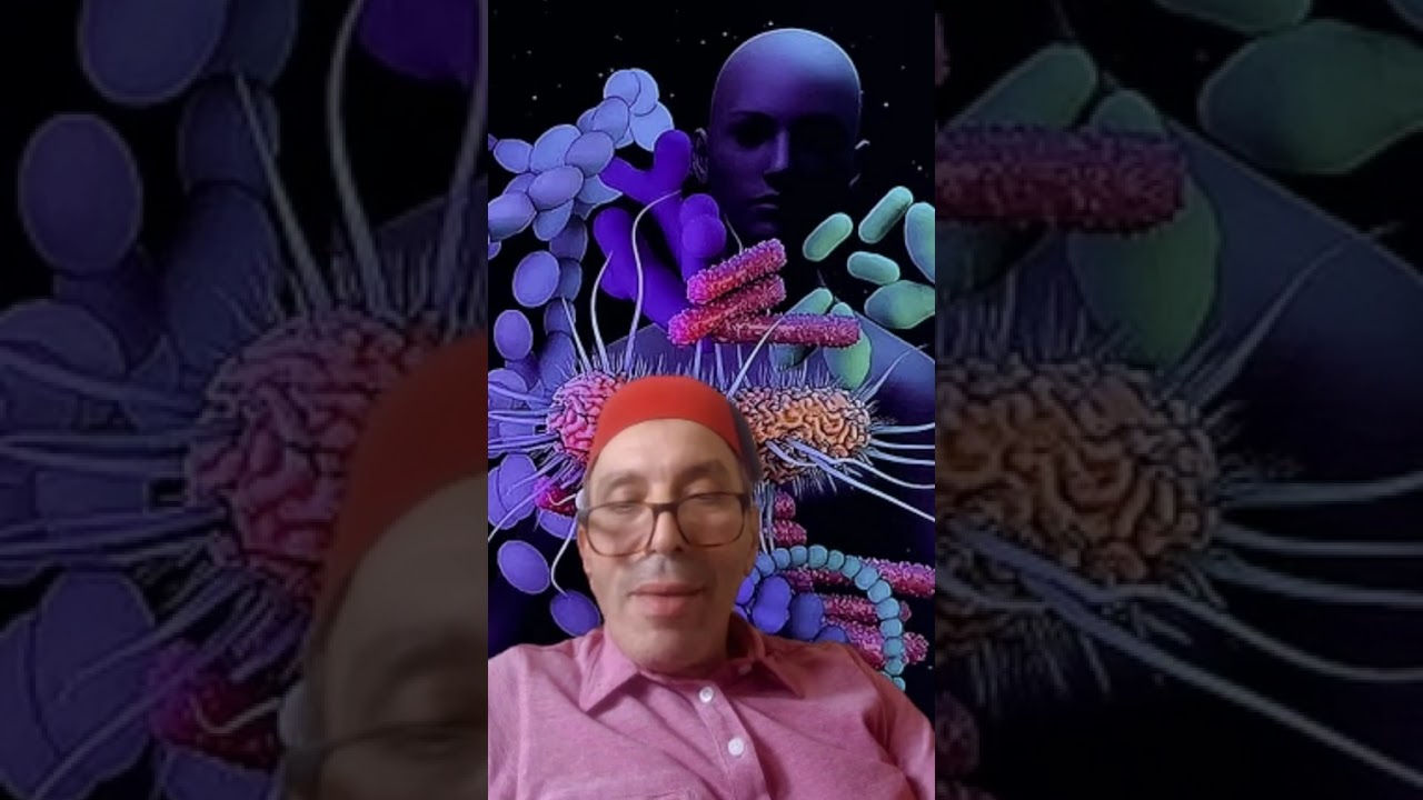 1 August 2025