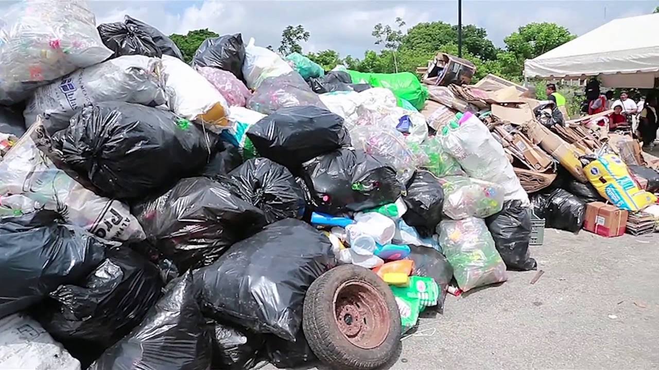 ВОЗ: Исследования по снижению передачи болезни Шагаса и лихорадки денге