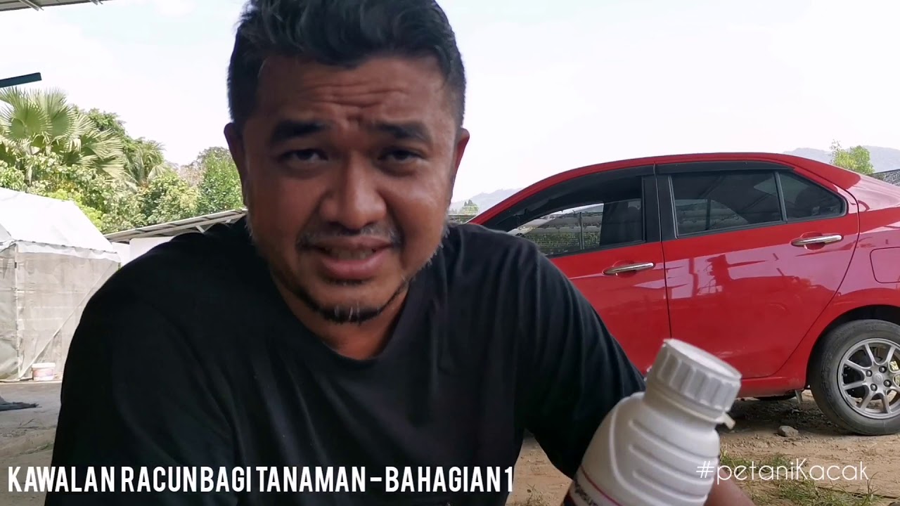 Kawalan Racun untuk Cili.