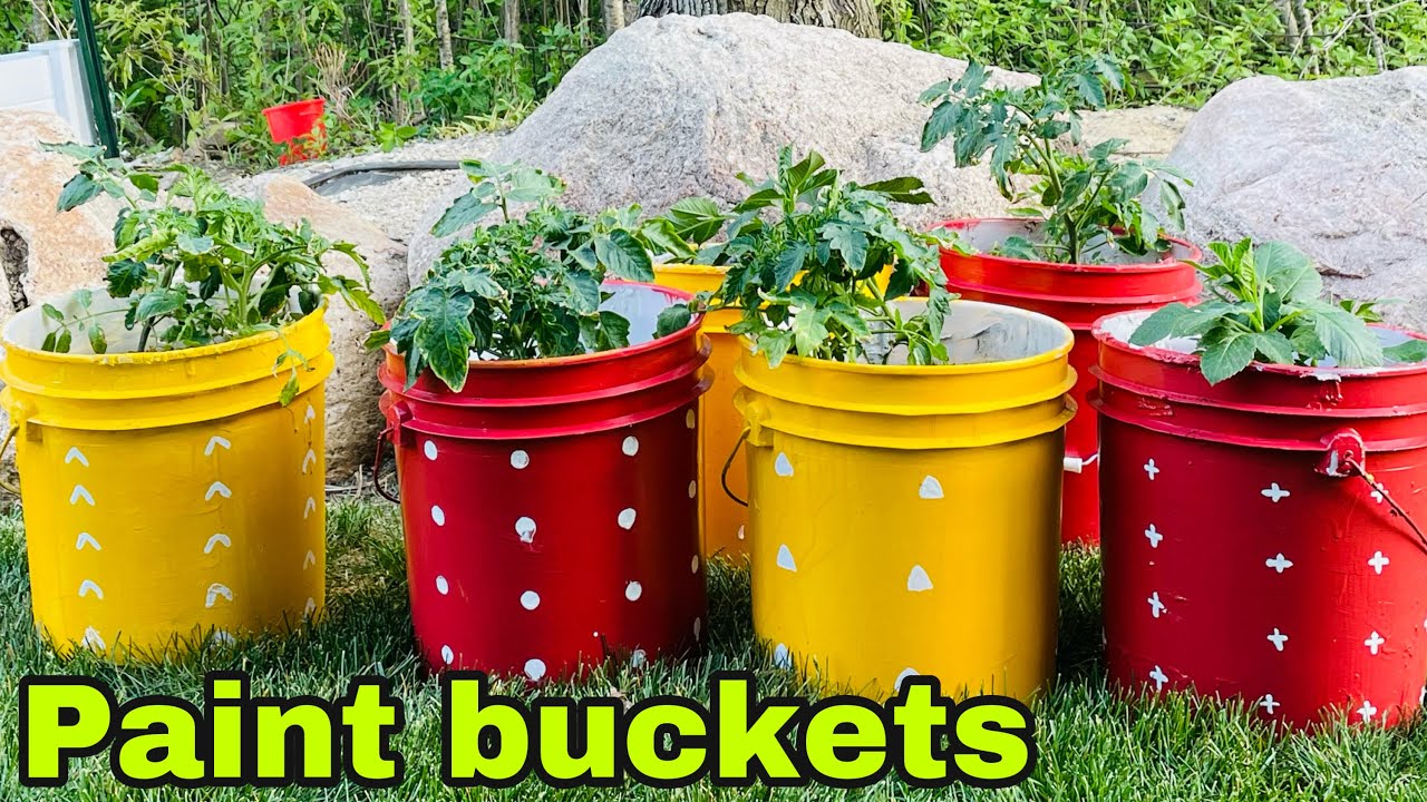 Paint bucket Craft idea | Pot painting | Home Gardening | LakshmiTalks