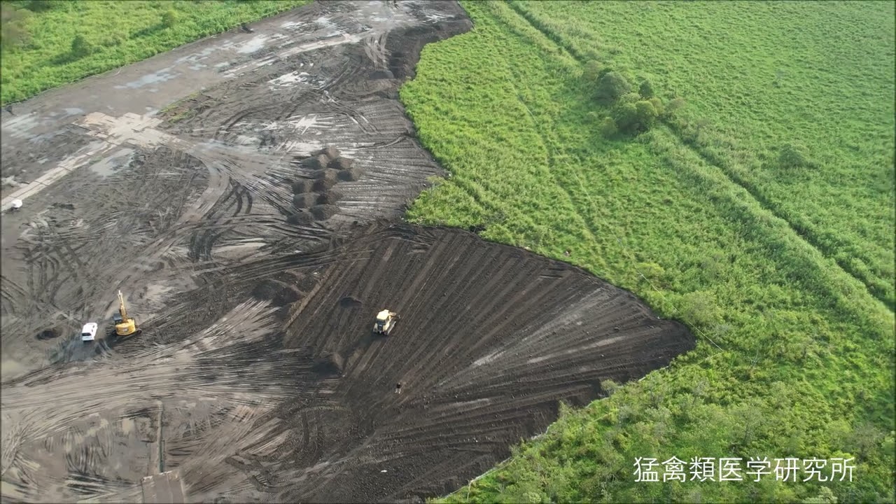 釧路湿原野生生物保護センター横のメガソーラー建設 近くでタンチョウが繁殖する湿原の埋め立て（20250812）
