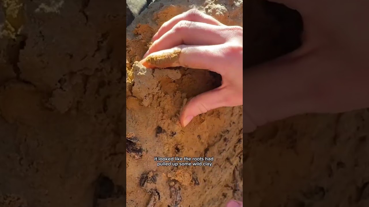 дикая глина часть 1!
