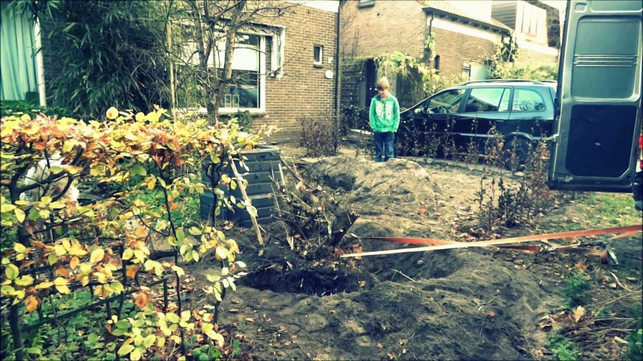Taxus verwijderen