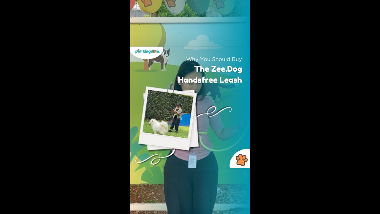 ZEE DOG HANDS FREE LEASH