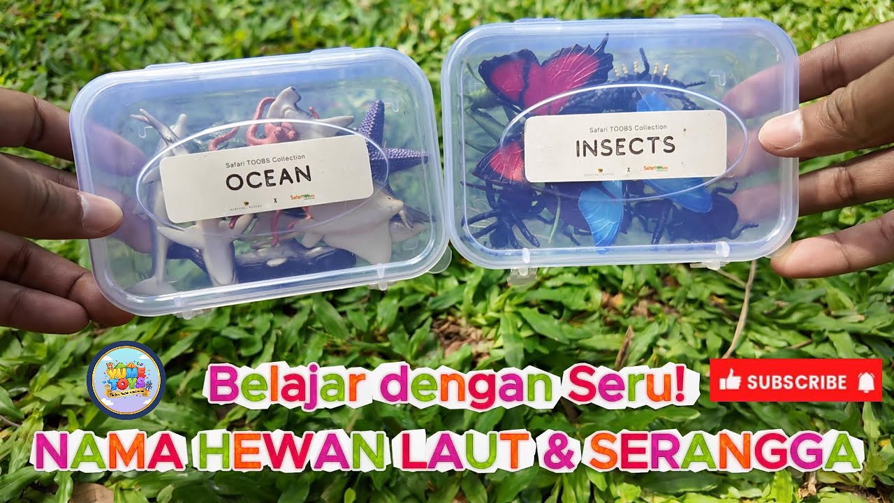 MENGENAL HEWAN LAUT & SERANGGA | Belajar Nama & Bentuk dengan Seru!