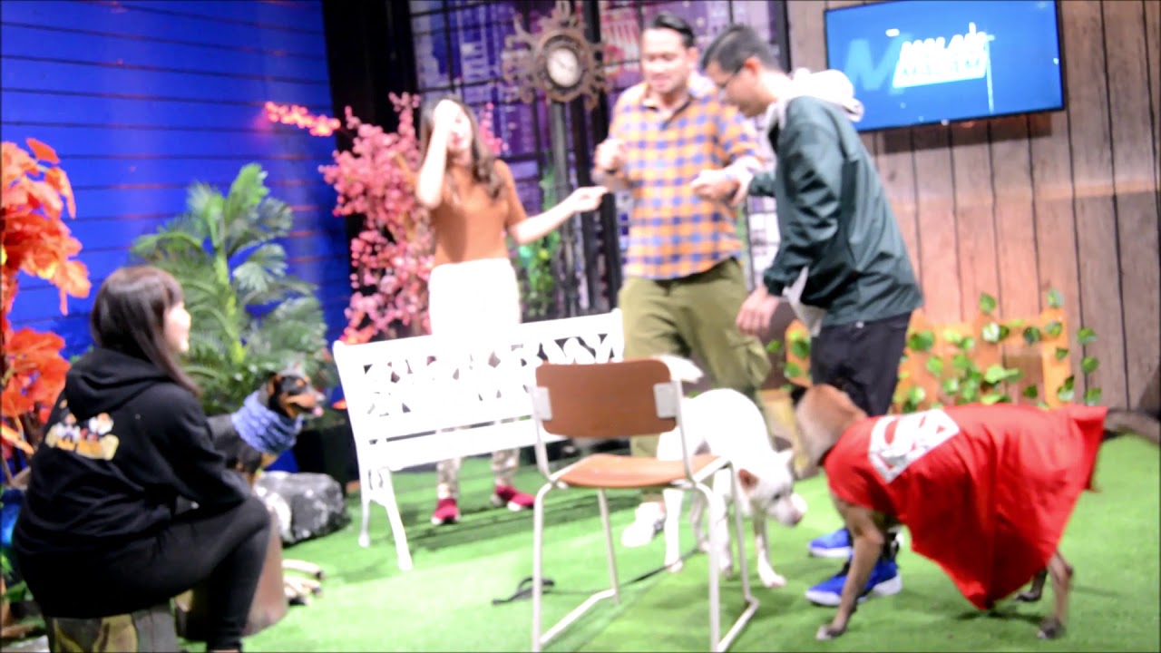 FunSmart DI NET TV ACARA MALAM MALAM NET
