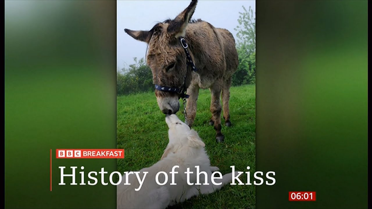 First kiss dates back 21 million years, say scientists (Global) 19/Nov/2025