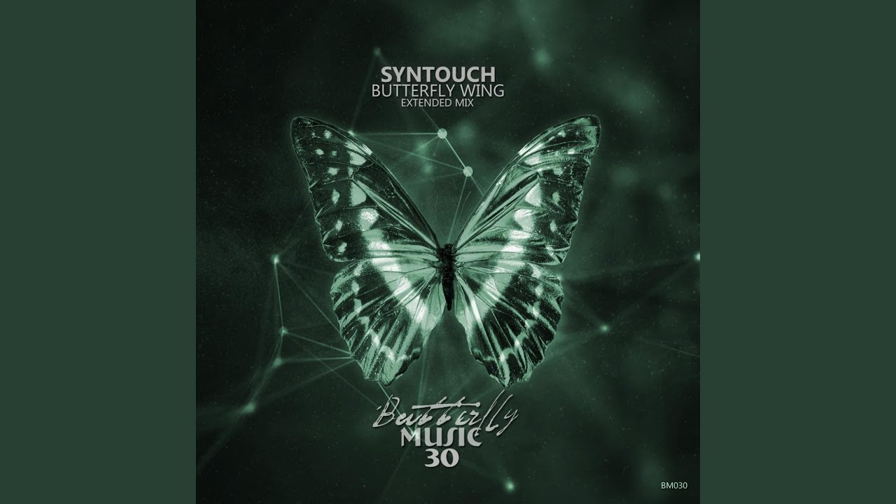 Butterfly Wing (Extended Mix)