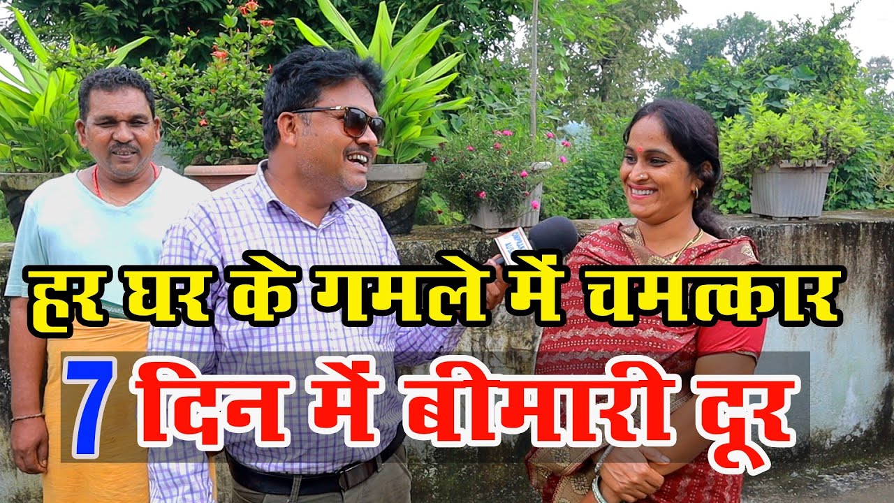 गमले में है चमत्कार, बीमारी दूर ।।