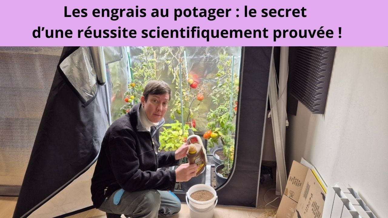 Les engrais au potager : le secret d’une réussite scientifiquement prouvée !