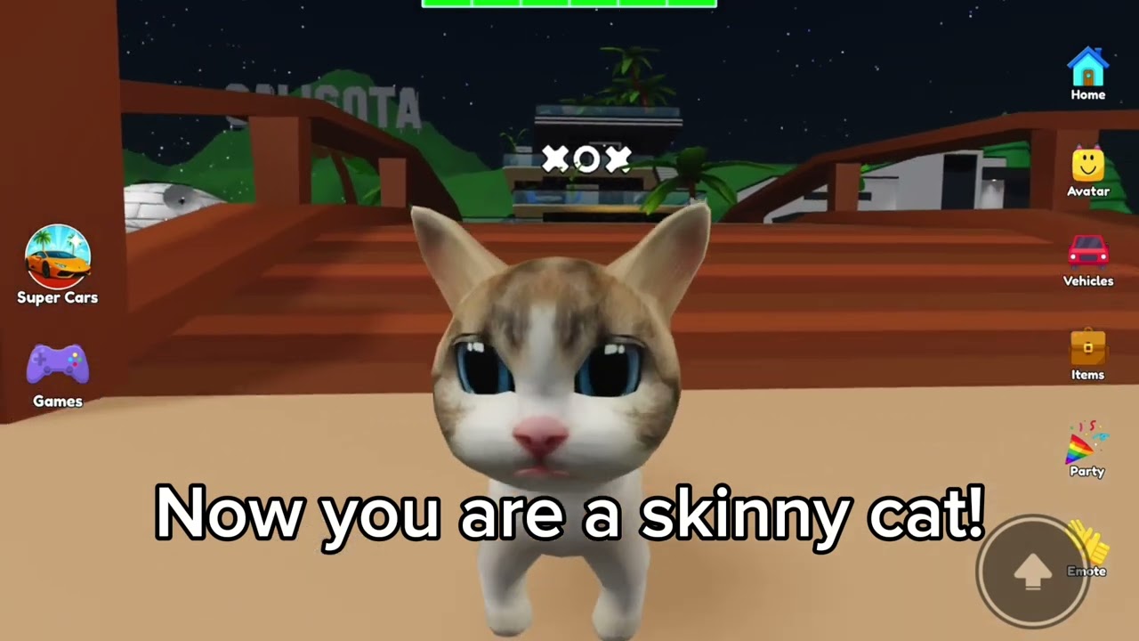 HOW TO BE CHUBBY OR SKINNY CAT IN PET PARTY ROBLOX!!