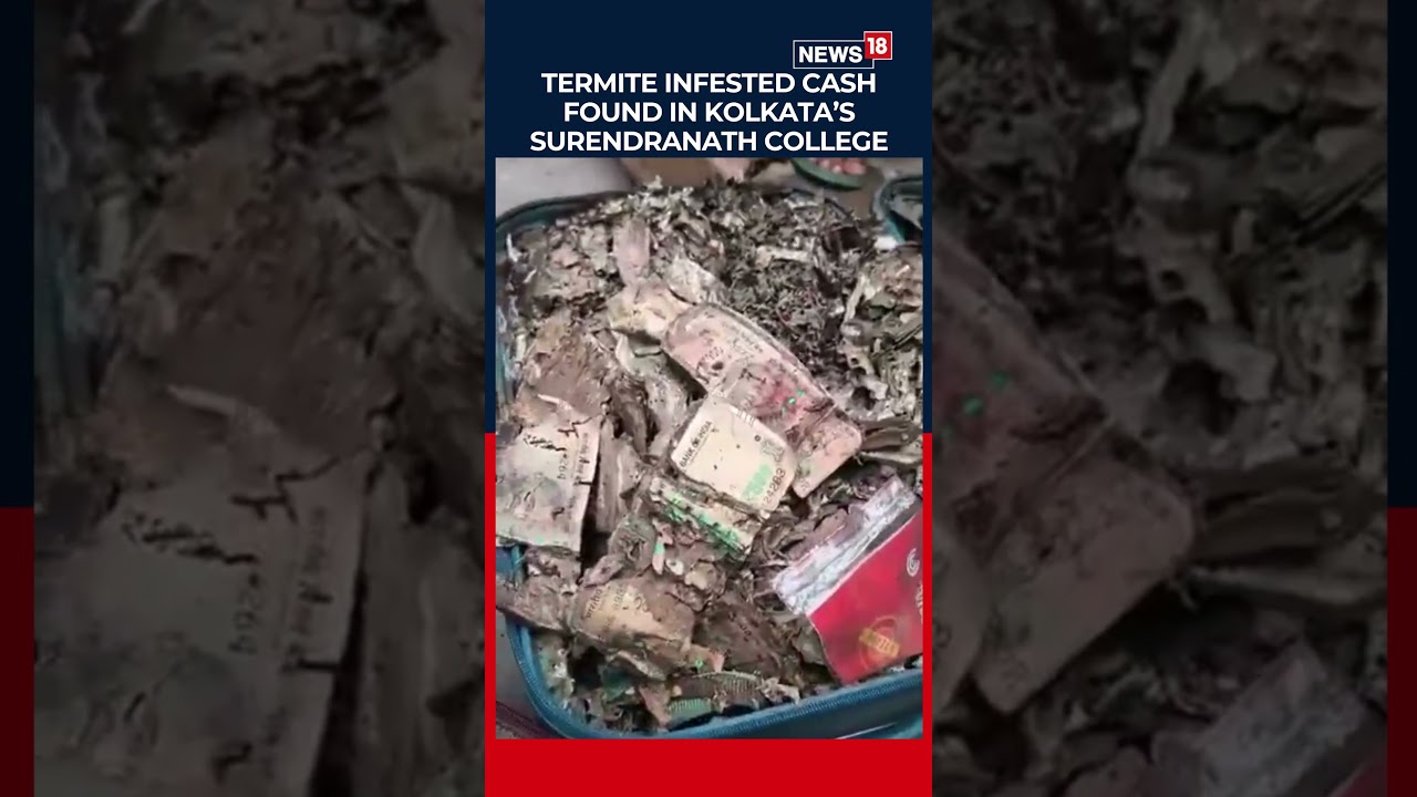В колледже Сурендранатх в Калькутте обнаружены пачки денег, зараженные термитами | Западная Бенга...
