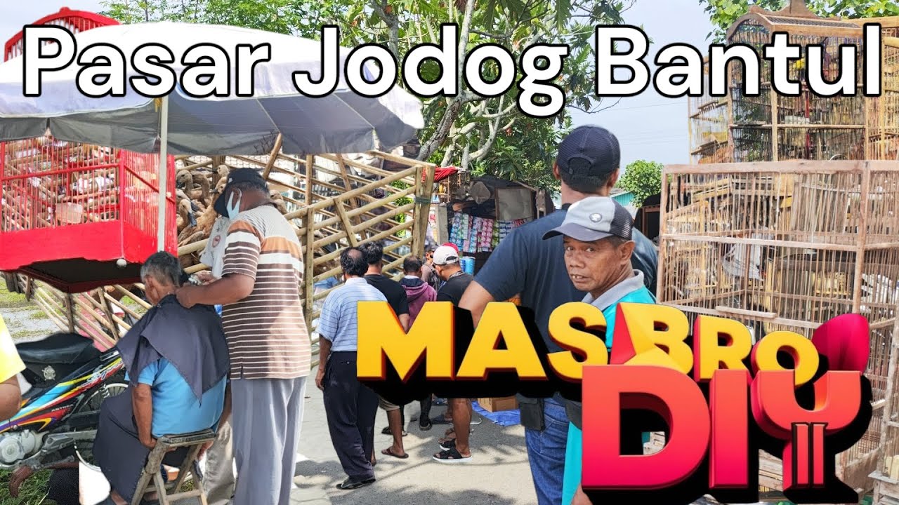 Pasr Yang sangat Panjang | Pasar Jodog Bantul Yogyakarta | Kolektor dan Penghobi Luar Kota. MAMPIR!
