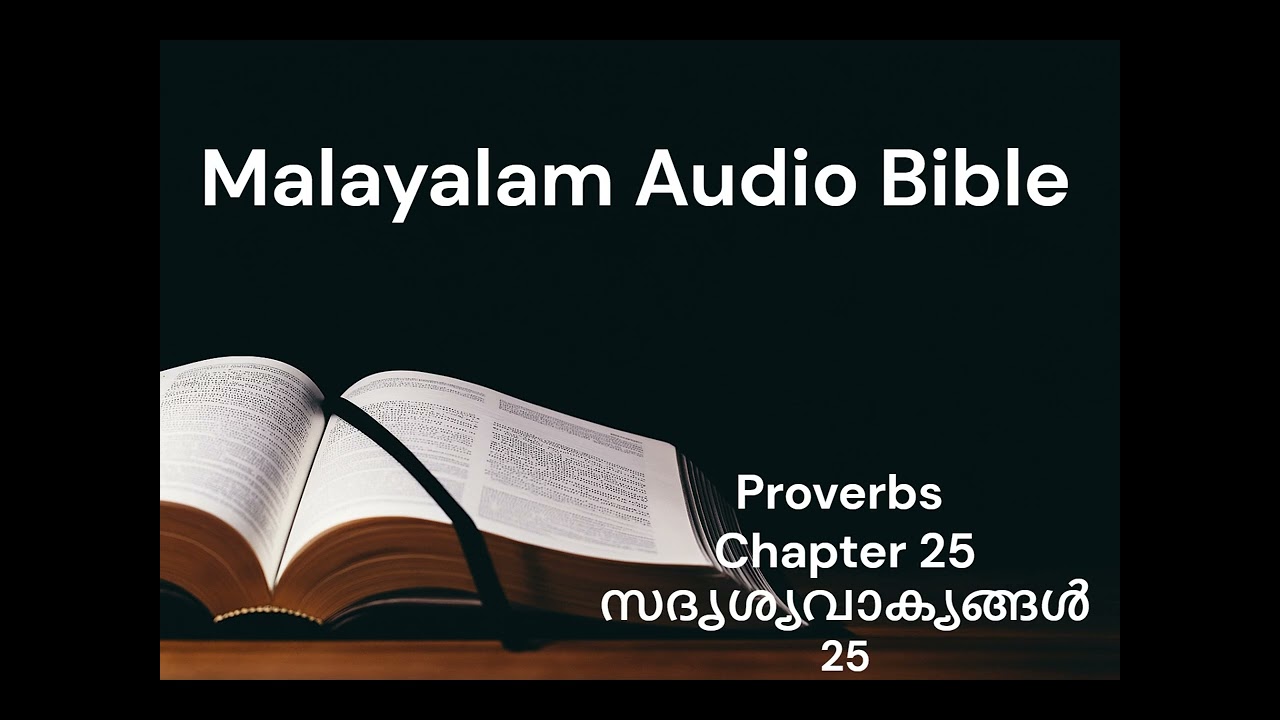 Malayalam Audio Bible /  Proverbs Ch25 / മലയാളം ഓഡിയോ ബൈബിൾ / സദൃശ്യവാക്യങ്ങൾ 25