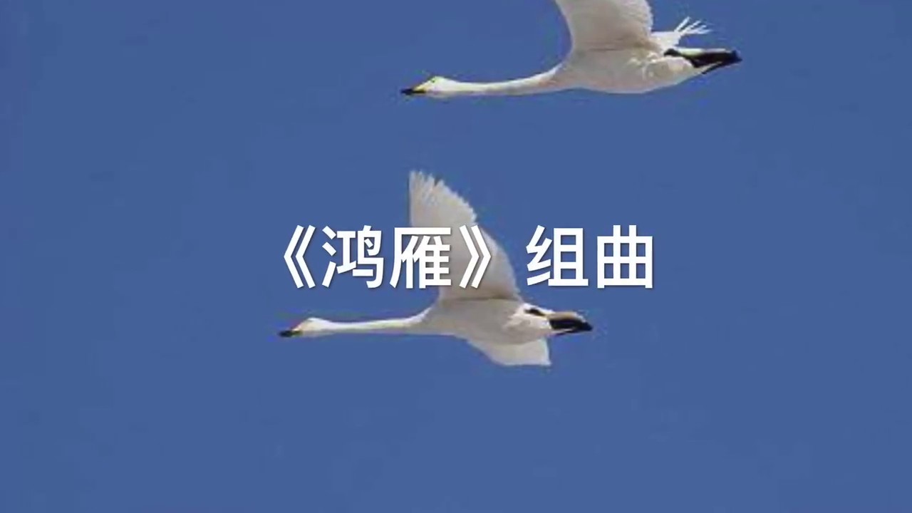 一小时最好听的草原歌曲《鸿雁组曲》集锦（歌曲、马头琴、小提琴、大提琴、协奏曲等）富春江南-5