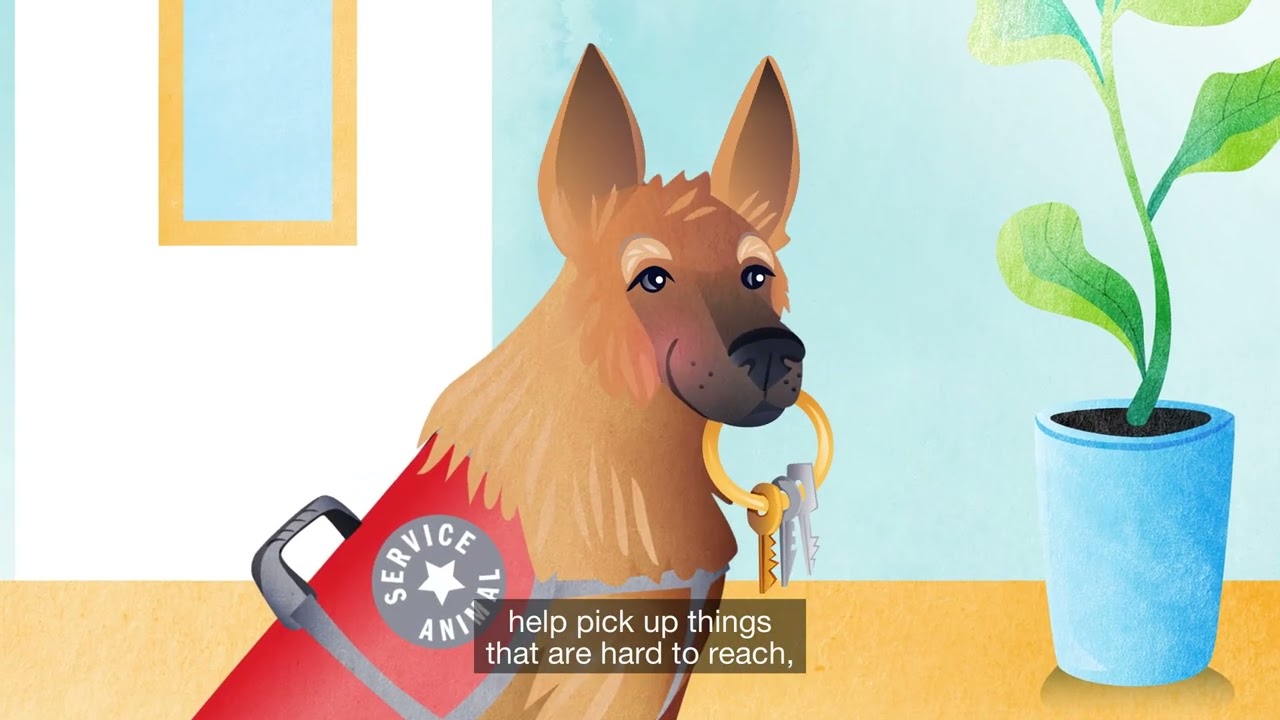 How to explain the purpose of service animals to kids!