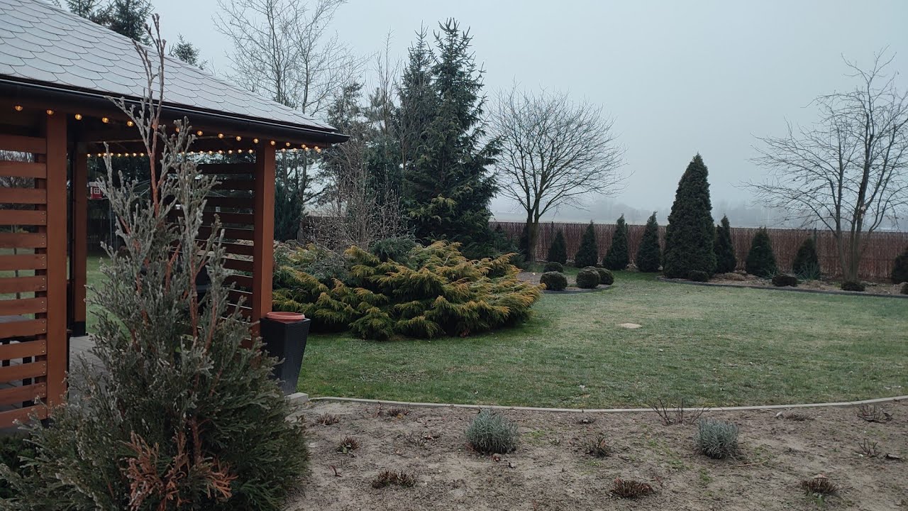 Zmiany w ogrodzie w ciągu dwóch lat 🏡