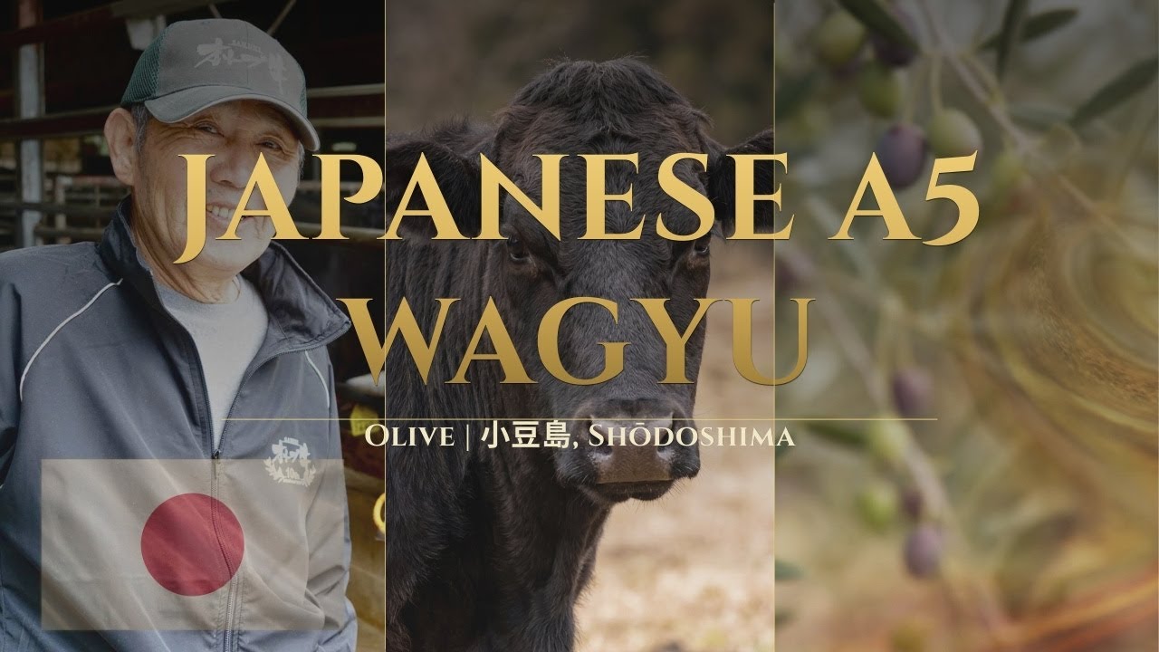 Japanese A5 Wagyu &mdash; Olive Wagyu of Shōdoshima