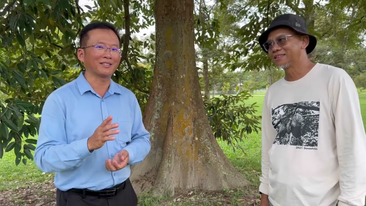 Durian campsite 榴莲园营地 dusun nas ulu beranang
