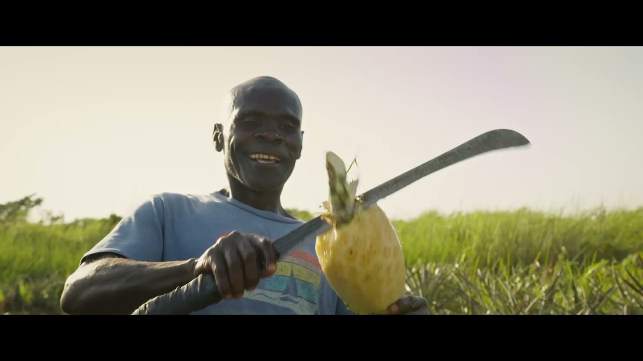 Man Son Bulubembe & Razoof _ Bampita Bulubembe (Official Video 2026)