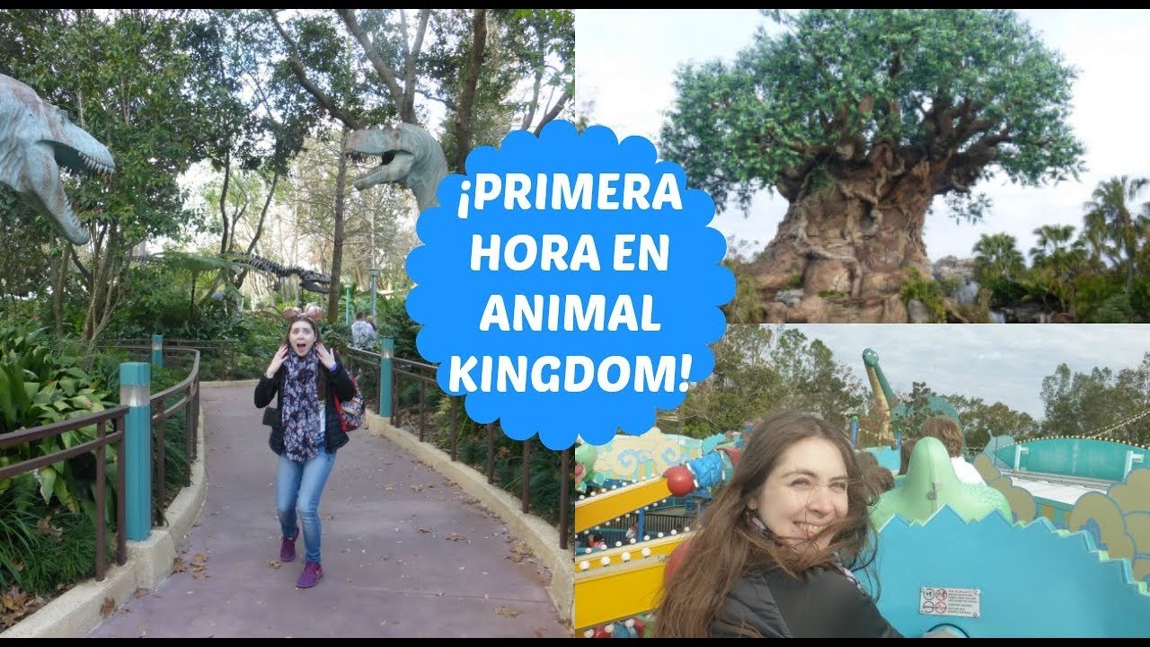 CÓMO ES ANIMAL KINGDOM A PRIMERA HORA DE LA MAÑANA