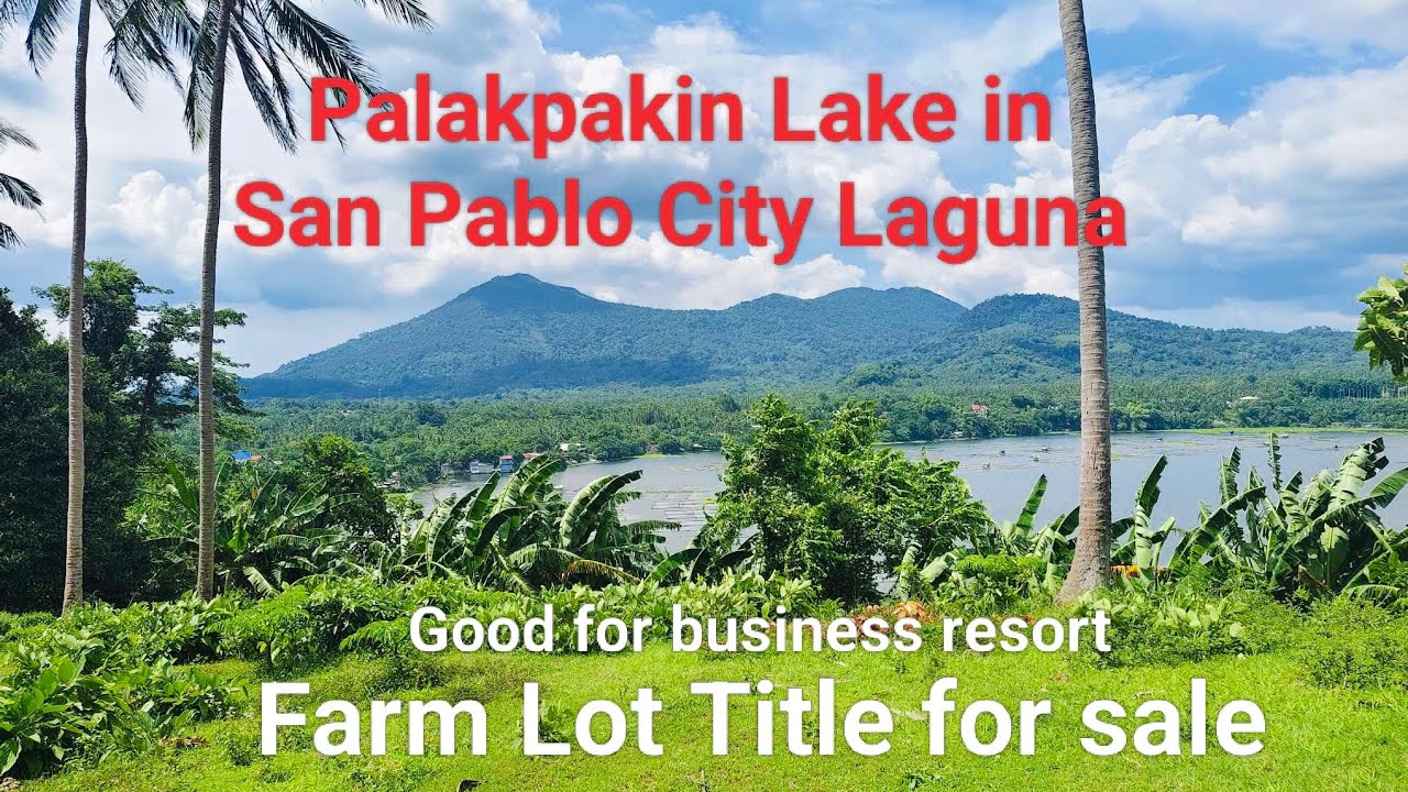 #Vlog343 FARM LOT TITLE FOR SALE NEAR PALAKPAKIN LAKE Good for business resort in SAN PABLO LAGUNA🏖️