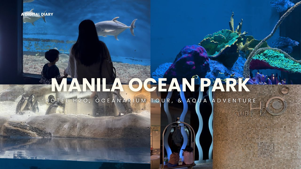 Manila Ocean Park Vlog 🫧📷 Hotel H2o check in, Oceanarium, Aqua Adventure & Bayview King Room Tour 🪼