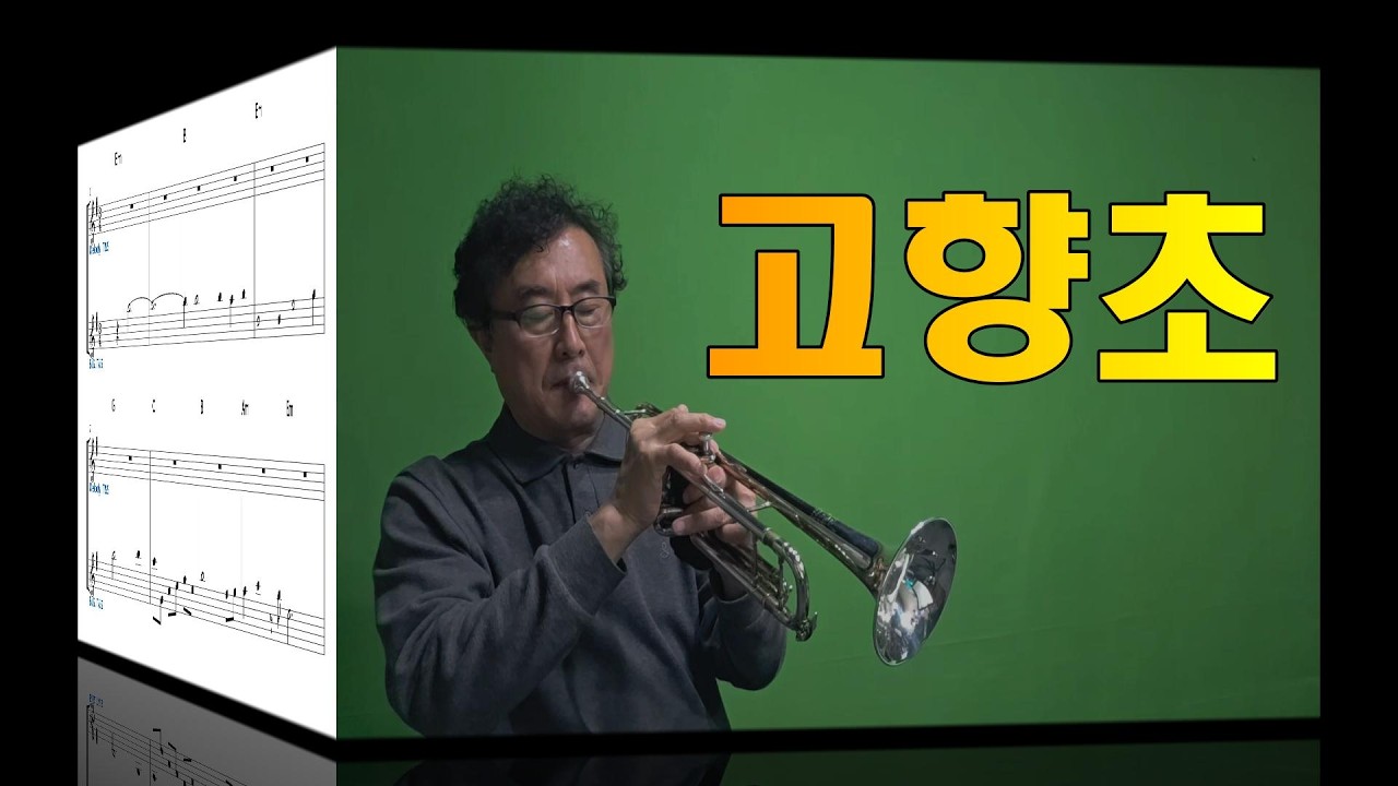 🎺#고향초(장세정) #트럼펫연주(트트홀/강성원)