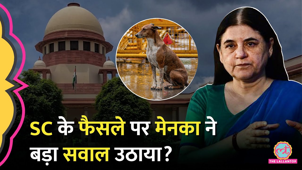 Stray dogs पर Supreme Court के फैसले पर Maneka Gandhi ने खुशी तो जताई लेकिन एक सवाल भी खड़ा किया