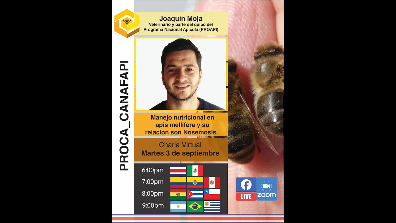 Manejo nutricional en Apis Mellifera y su relación con Nosemosis