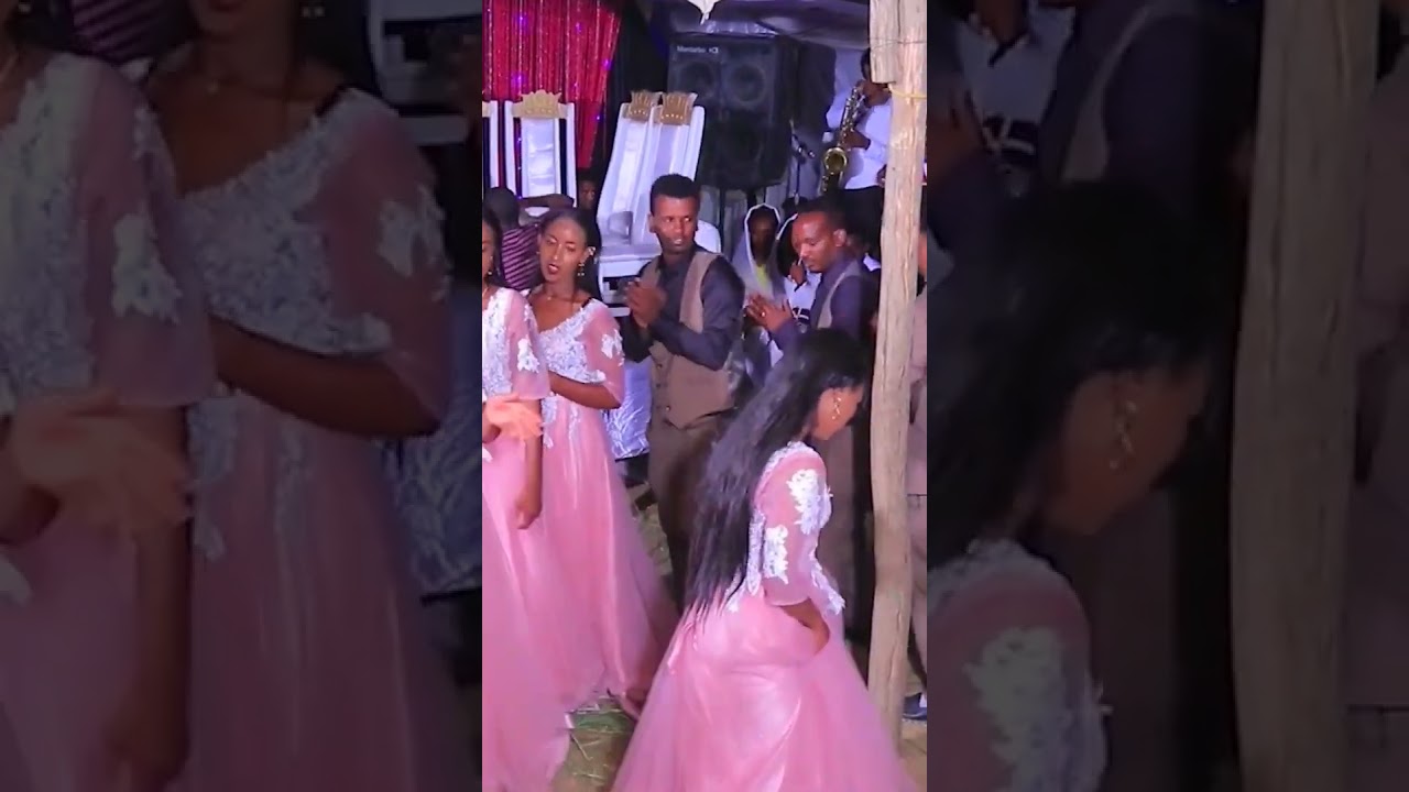 #tigrigna #wedding #music #tigrignamusic #shortvideo #love #live #tegaru #tigray #dance #party
