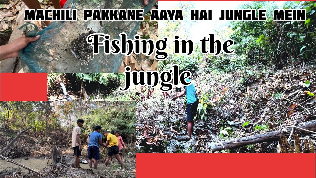 Gaon ki Talab mein Machili karne Ja rahe hain 😊🥵 fishing in the Jungle ￼￼