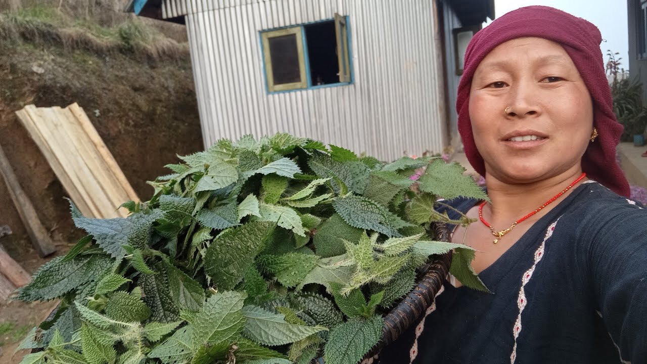 सिस्नु क कस्लाइ मन पर्छ साथिहरुll🤗