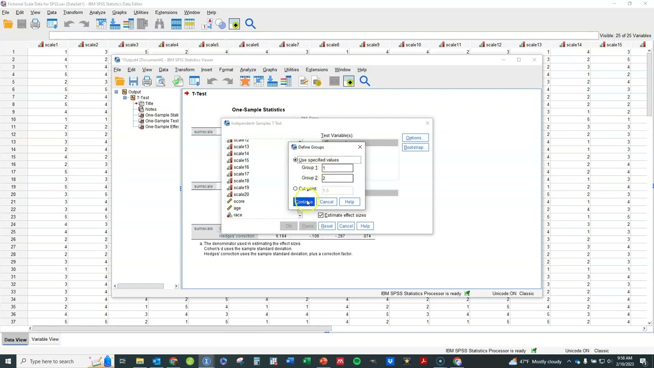 t tests in SPSS