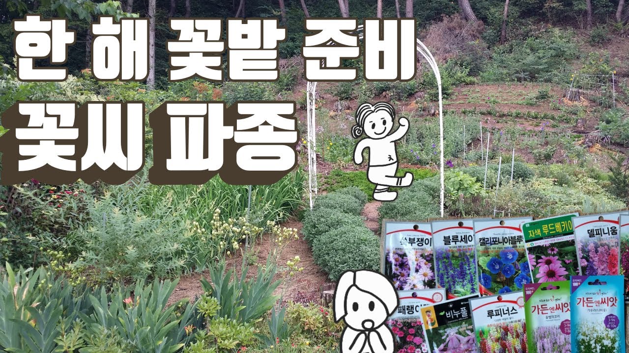 정원 가꾸기 | 강원도 4월 꽃씨 파종 | 꽃밭 | 범부채, 무스카리, 붓꽃, 국화, 끈끈이대나물 월동 결과 | 블루벨, 비누풀, 델피니움, 디기탈리스, 패랭이 꽃씨 파종